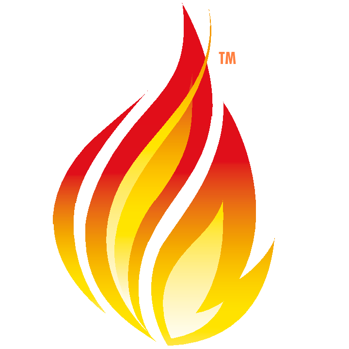 FHIR logo